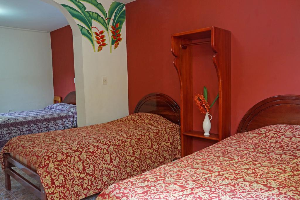 Hotel Mindo Real Extérieur photo